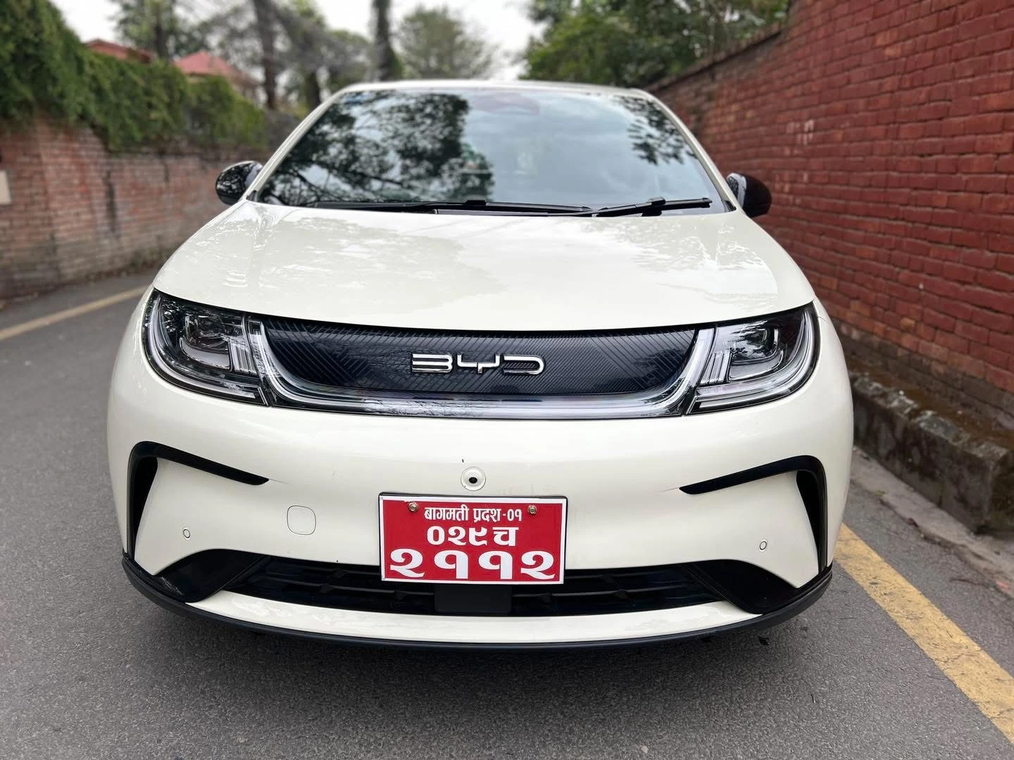 Used 2023 BYD Dolphin - Photo 2